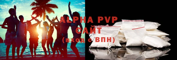 прущие грибы Краснотурьинск