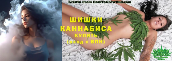 ALPHA-PVP Каменногорск
