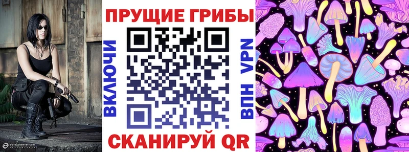 Псилоцибиновые грибы прущие грибы  Черкесск 