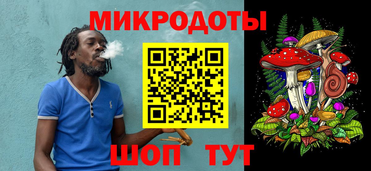 Псилоцибиновые грибы Psilocybe Черкесск