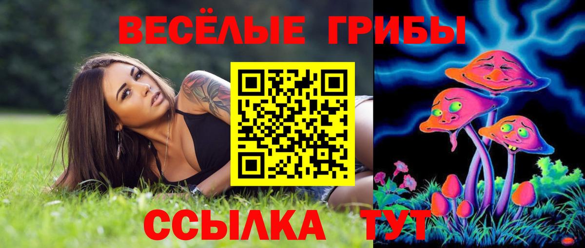 Галлюциногенные грибы мухоморы Черкесск